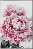 JUNIQE - Poster met kunststof lijst Peony in Focus -30x45 /Grijs &
