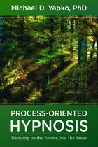Process-Oriented Hypnosis: Focusing on the Forest, Not the Trees