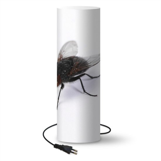 catalogus middag tsunami Lamp Insecten op Witte Achtergrond - Dikke vlieg lamp - 50 cm hoog - Ø16 cm  -... | bol.com