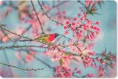 Muismat Dieren in de lente - Vogel op de tak van een kersenbloesem muismat rubber - 60x40 cm - Muismat met foto