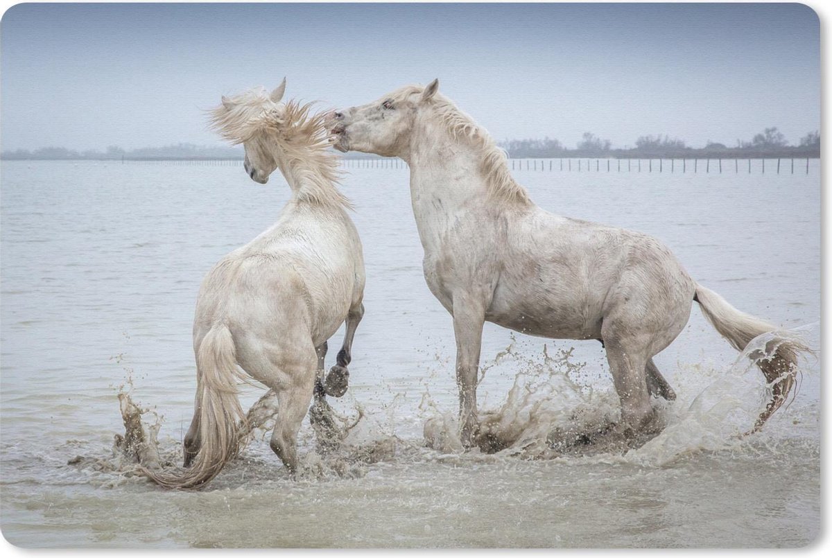 Muismat Camargue - Twee paarden spelen in het water in Camargue muismat rubber - 27x18 cm - Muismat met foto