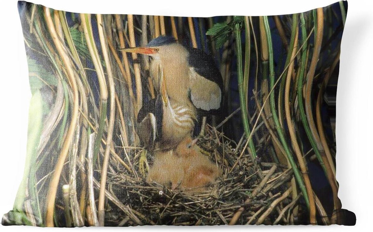 Buitenkussens - Tuin - Een Woudaap in zijn nest tussen het hoge riet - 60x40 cm - PillowMonkey