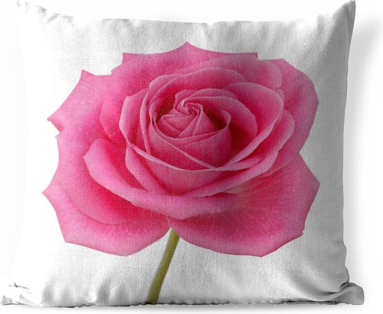 Sierkussen Roze roos voor buiten - Close-up van enkele roze roos op witte achtergrond - 45x45 cm - vierkant weerbestendig tuinkussen / tuinmeubelkussen van polyester