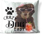 Buitenkussens - Tuin - Honden quote 'Crazy dog lady' op een achtergrond met een hond en een cocktail - 40x40 cm