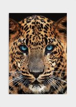 Poster Leopard Close-up - Dibond - Meerdere Afmetingen & Prijzen | Wanddecoratie - Interieur - Art - Wonen - Schilderij - Kunst