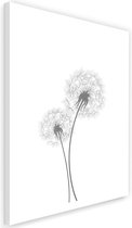 Schilderij Twee Paardenbloemen, 2 maten, wit-grijs