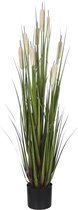 Mica Decorations Pluimgras Cattail Kunstplant - H120 x Ø35 cm - Crème