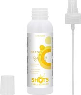 Shots Liquids - Fragrance Toy Cleaner - Citron - 100ML - Lubricants - Cleaners & Deodorants