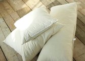 Nkuku Feather Cushion Inner - Square M
