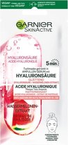 20x Garnier SkinActive Tissue Gezichtsmasker Watermeloen & Hyaluronzuur