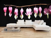 Professioneel Fotobehang Hangende roze bloemen aan tak - zwart paars - Sticky Decoration - fotobehang - decoratie - woonaccessoires - inclusief gratis hobbymesje - 385 cm breed x 260 cm hoog 