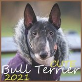 Cute Bull Terrier