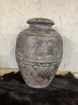 Pot Alexander