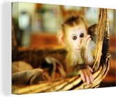 Canvas Schilderij Baby aap in een rieten mand - Jongen - Kind - Meisjes - Kinderen - 30x20 cm - Wanddecoratie