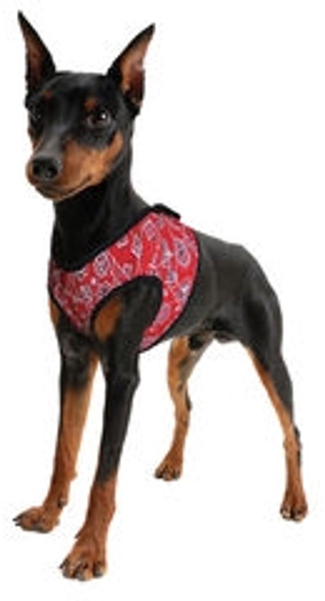 Aqua Coolkeeper Cooling Comfy Harness Red Western - medium 34-37 CM