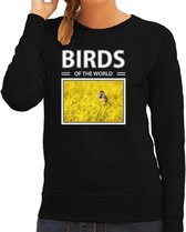 Dieren foto sweater Blauwborst vogel - zwart - dames - birds of the world - cadeau trui vogel liefhebber M