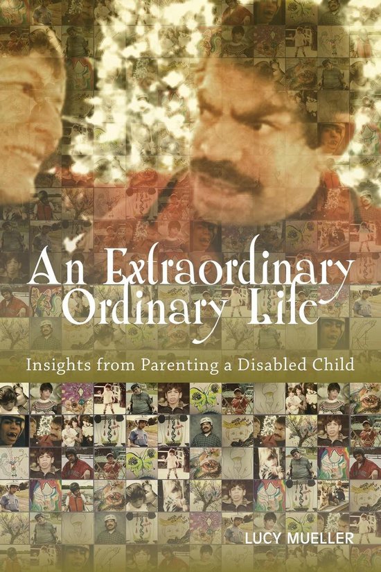 An Extraordinary/Ordinary Life - cover