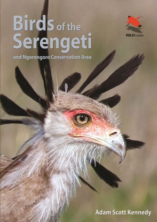 Birds of the Serengeti - cover