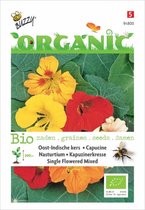Buzzy® Organic Nasturtium High Mixed (BIO)