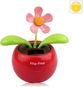 Solar Flip Flap Flower, willekeurige kleur levering van bloemen (Scarlet bloembak)