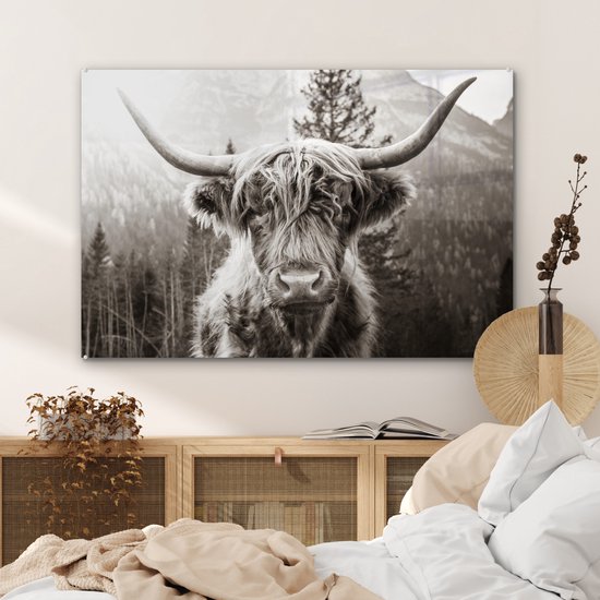 MuchoWow® Peinture sur Verre - Highlander écossais - Vache - Animaux - Zwart - Wit - 90x60 cm - Peintures sur Verre Acrylique - Photo sur Glas