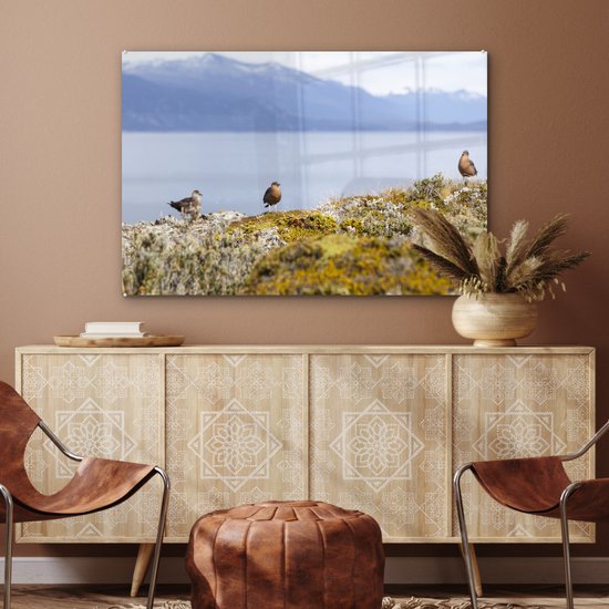 Vogels dans le parc national de la Terre de Feu avec des montagnes enneigées en arrière-plan Plexiglas 120x80 cm - Tirage photo sur Glas (décoration murale en plexiglas)