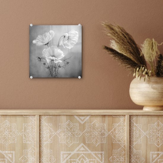 MuchoWow® Peinture sur verre 20x20 cm - Peinture sur verre acrylique - Nature morte - Fleurs - Zwart et blanc - Coquelicot - Botanique - Photo sur verre - Décoration murale salon - Décoration murale chambre - Peintures