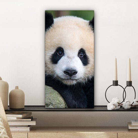 OneMillionCanvasses - Canvas - Panda - Steen - Natuur - Muurdecoratie - 20x40 cm - Canvas schilderij - Canvas doek