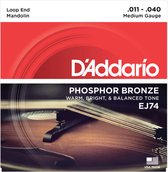 D'Addario EJ74 11-40 Mandolinen snaren Phosphor Bronze Loop End - Snaren