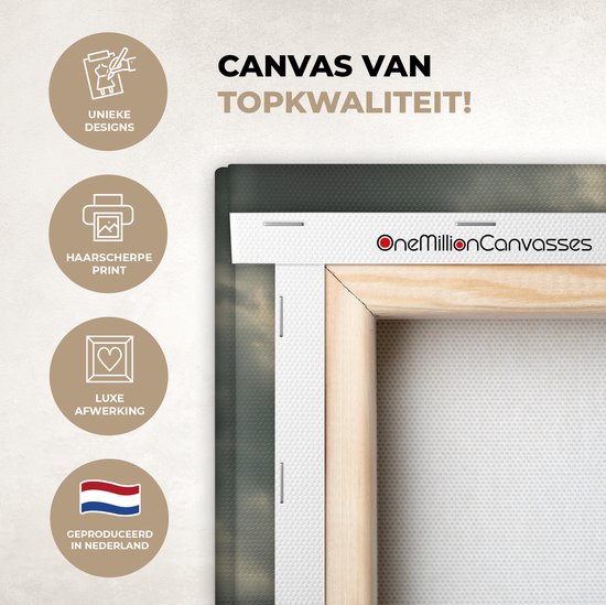 Peintures sur toile - Éléphant d'Afrique contre les nuages sombres - 150x100 cm - Décoration murale