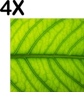 BWK Textiele Placemat - Close Up Groen Blad - Set van 4 Placemats - 40x40 cm - Polyester Stof - Afneembaar