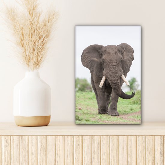 Peintures sur toile - Éléphant venant en sens inverse - 20x30 cm - Décoration murale