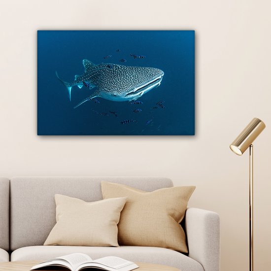 Tableau sur toile Un requin baleine à pois - 150x100 cm - Décoration murale