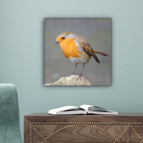 Toile Peinture Vogel - Robin - Roche - 20x20 cm - Décoration murale