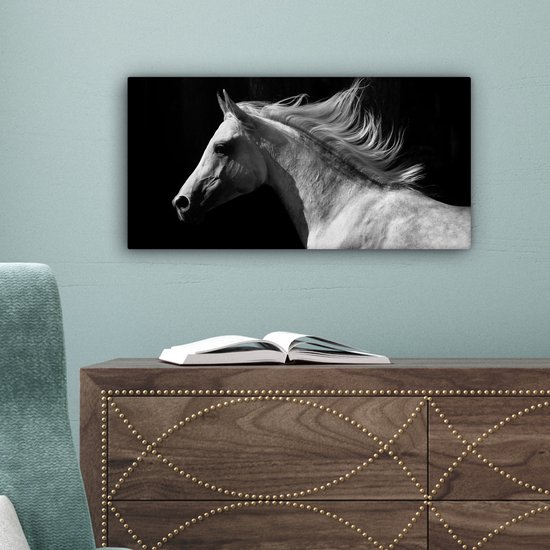 Tableau sur Toile Paarden - Animal de la Ferme - Crinière - 40x20 cm - Décoration murale