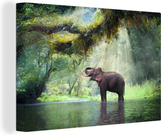 Canvas - Jungle - Olifant - Water - Zonlicht - Bomen - Natuur - Landschap - Muurdecoratie - Kamer decoratie - 120x80 - Canvas doek