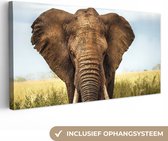 Canvas Schilderij Afrikaanse olifant vooraanzicht - 80x40 cm - Wanddecoratie