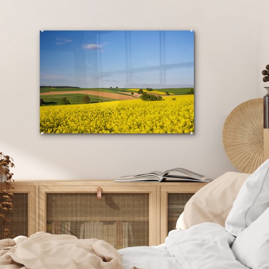 MuchoWow® Peinture sur verre 60x40 cm - Peinture sur verre acrylique - Printemps - Fleurs - Jaune - Photo sur verre - Peintures