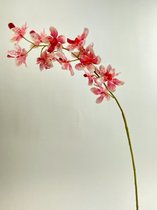 Zijden kunstbloem Orchidee | Wit Koraal | Lengte 75 centimeter