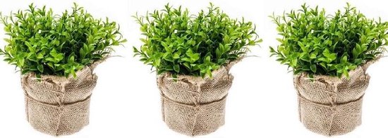 Set van 3x Kunstplanten tuinkers groen in jute pot van 16 cm - decoratie  planten | bol.com