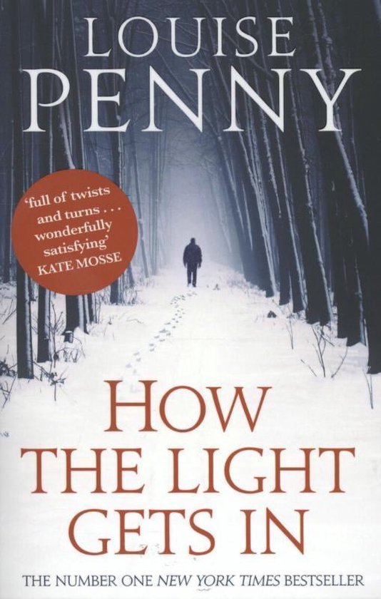 How The Light Gets In - cover