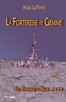 Omslag Les Puissances de Nilgir - Tome 4