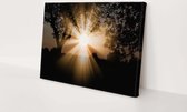 Zonnestraal door de bomen | 150 x 100 CM | Canvasdoek voor buiten | Schilderij | Outdoor | Tuindoek