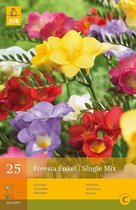 2 stuks 25 Freesia Enkel Mix