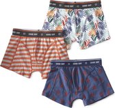 Little Label - boxershorts 3-pack - orange - maat: 158/164 - bio-katoen