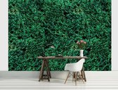 Grass Texture Photo Wallcovering