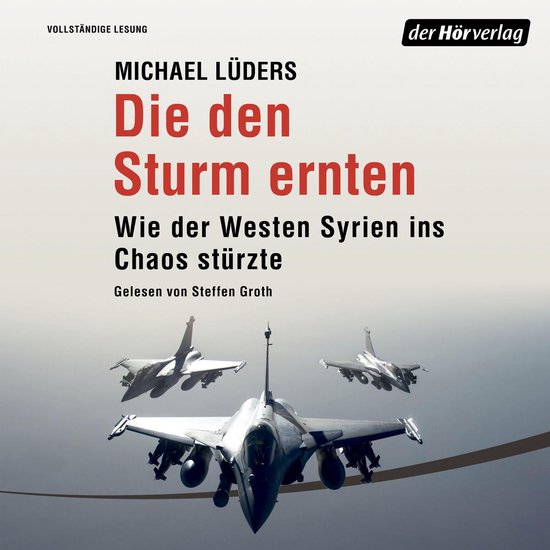 Die den Sturm ernten - cover