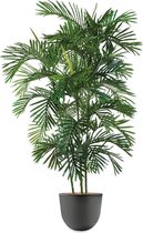 HTT - Kunstplant Areca palm in Eggy antraciet H190 cm