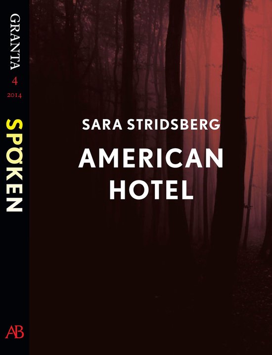 Foto: American hotel en e singel ur granta 4