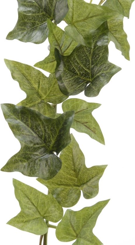 Bellatio flowers & plants Planten slinger klimop - Hedera Helix - groen - 180 cm - kunstplant